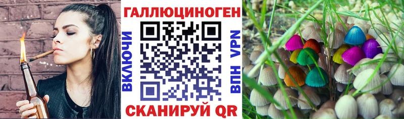 Псилоцибиновые грибы ЛСД Малмыж